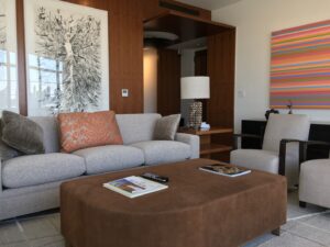 Living room furnishings in a Boston apartment designed by Steven Elmets Architecture